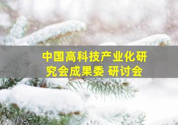 中国高科技产业化研究会成果委 研讨会